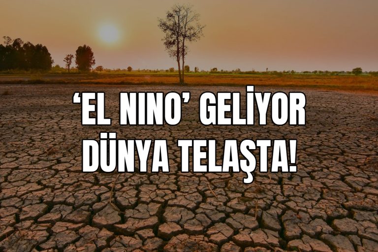 el nino nedir